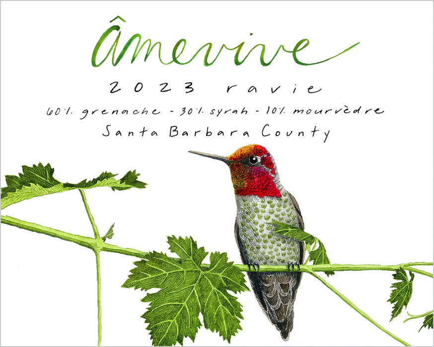 ‘Ravie’ GSM