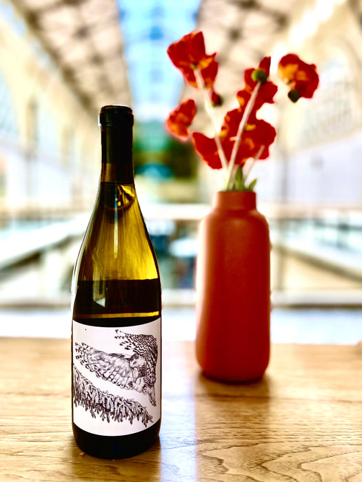 Chardonnay
