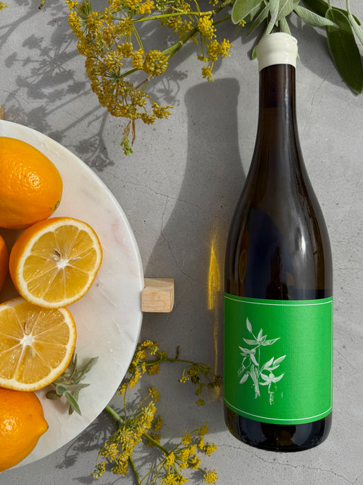 Arnot Roberts Ascona Vineyard Sauvignon Blanc