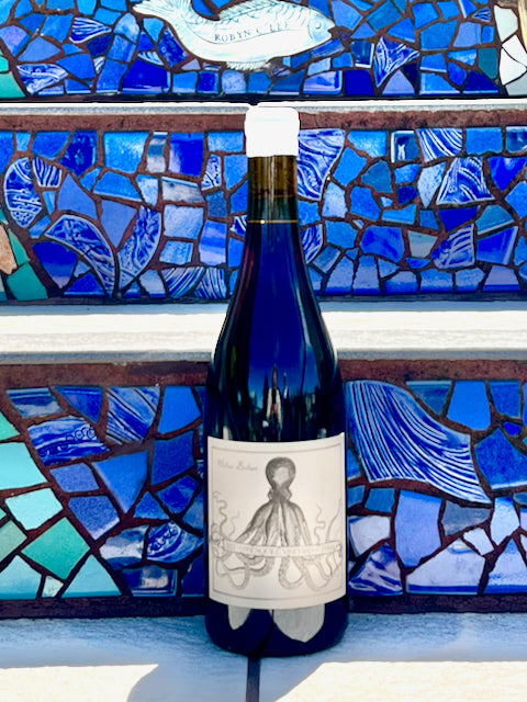 Holus Bolus Syrah - Presqu’ile Vineyard