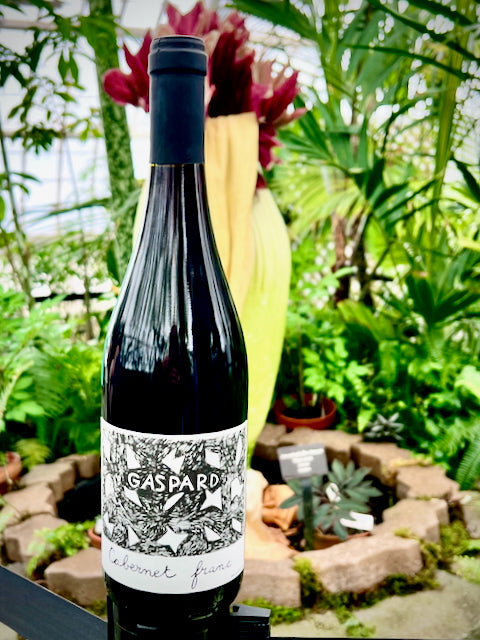 Cabernet Franc